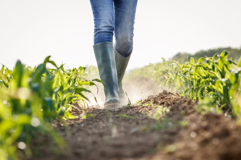 Trace One | Where Natural Disasters Are Having the Biggest Impact on the Nation's Food Supply