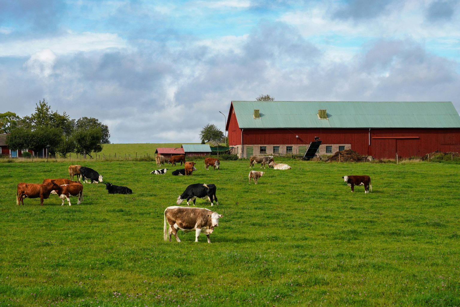 Trace One PLM Supply Chain Sustainability