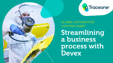 TO_CaseStudy_PLM_Feature_AutoPaint_02