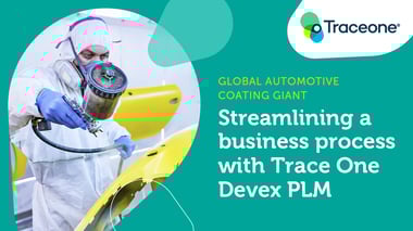 TO_CaseStudy_PLM_Feature_AutoPaint_02 (1)