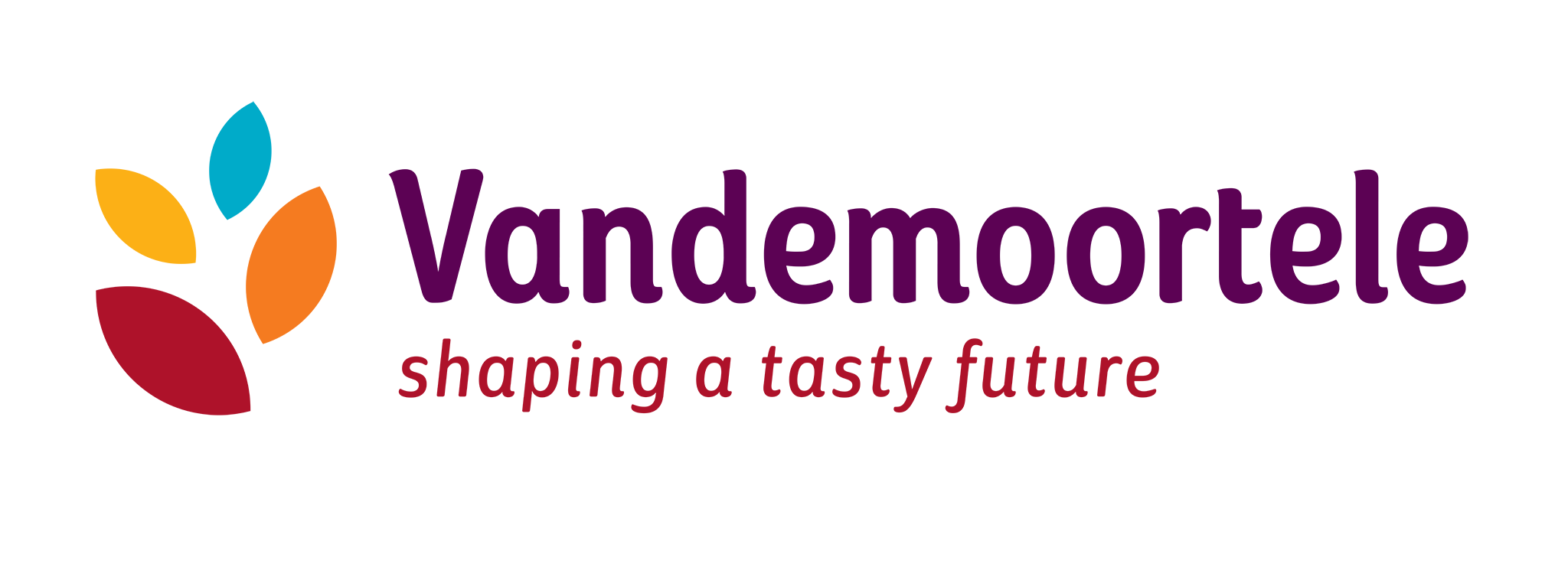 Master_Logo_png_Vandemoortele_with_tagline_(2)