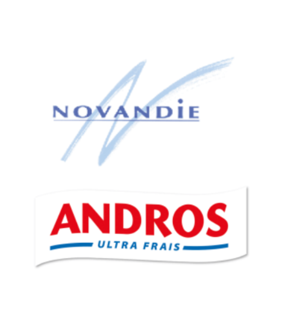 TO_Analytics_Novandie_CaseStudy_Image