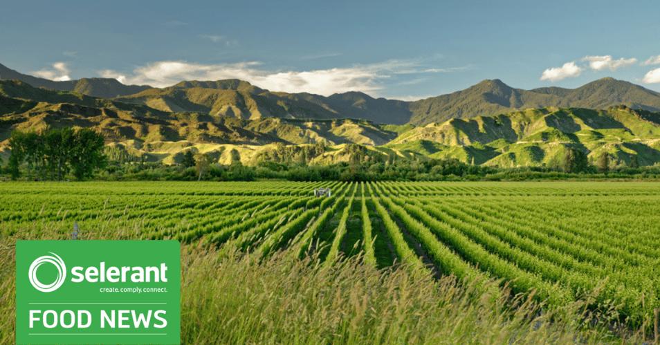 Farm lands in New Zealand