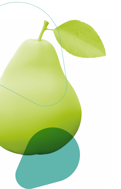produit-plm-section-form